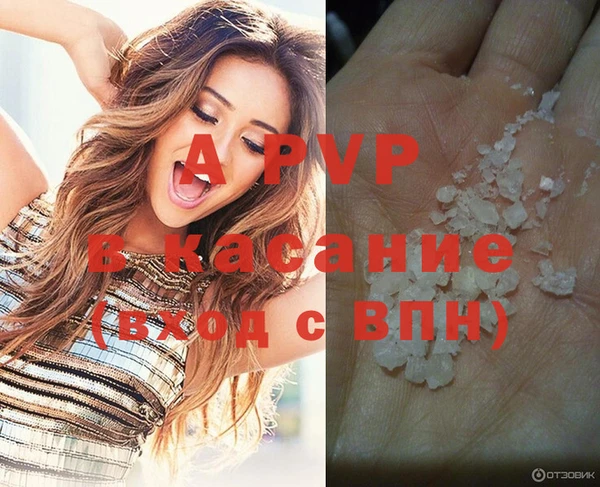 индика Болохово