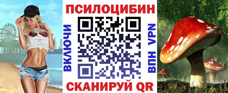 продажа наркотиков  Кашин  Псилоцибиновые грибы GOLDEN TEACHER 